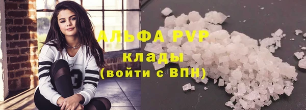 спайс Гусев