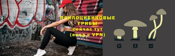 спайс Гусев