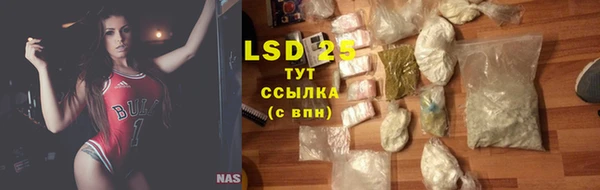 прущие грибы Елабуга
