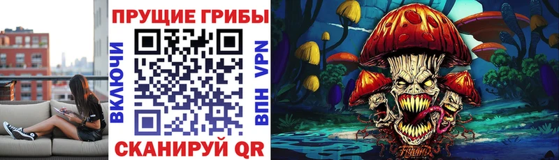 Псилоцибиновые грибы прущие грибы дарнет шоп кракен ССЫЛКА Дмитров